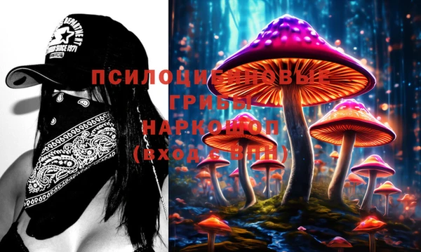 мдма Медвежьегорск