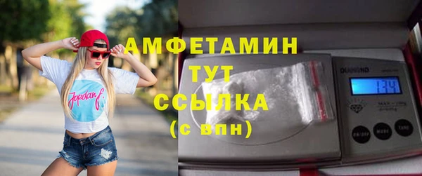 индика Магас