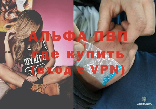 индика Магас