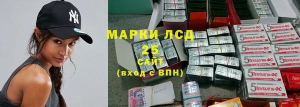 твердый Майский