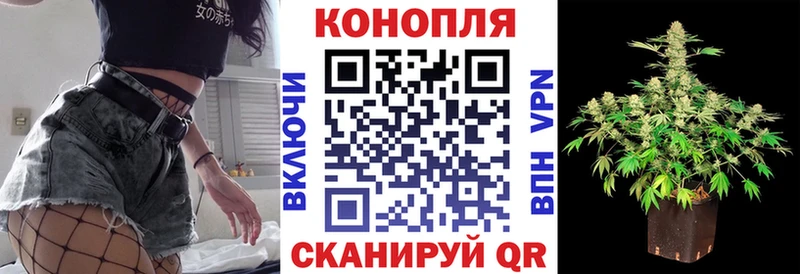 Марихуана сатива  Лысково 